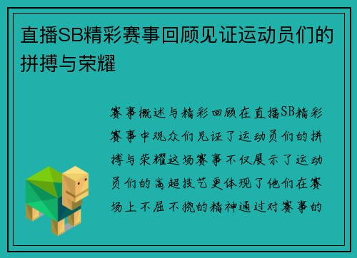 直播SB精彩赛事回顾见证运动员们的拼搏与荣耀